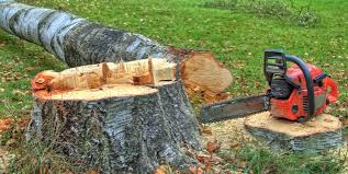 Best Lot and Land Clearing  in Lakeview, OH